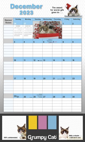 Grumpy Cat August 2022-December 2023 17-Month Planner: It's All Downhill from Here. (STICKY NOTE PLANNER) - Grumpy Cat Limitied [KSIĄŻKA]