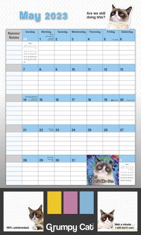 Grumpy Cat August 2022-December 2023 17-Month Planner: It's All Downhill from Here. (STICKY NOTE PLANNER) - Grumpy Cat Limitied [KSIĄŻKA]
