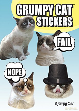 Grumpy Cat Stickers (Little Activity Books) - Grumpy Cat [KSIĄŻKA]