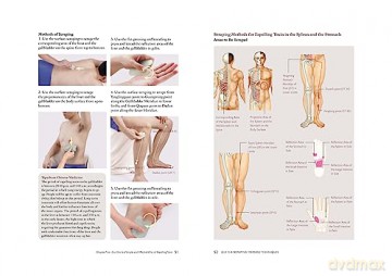 Gua Sha Scraping Massage Techniques: A Natural Way of Prevention and Treatment through Traditional Chinese Medicine [KSIĄŻKA]