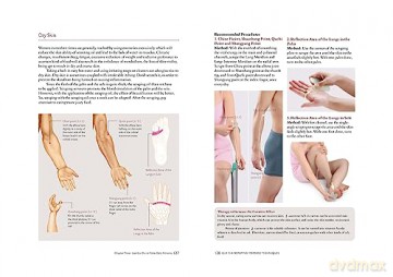 Gua Sha Scraping Massage Techniques: A Natural Way of Prevention and Treatment through Traditional Chinese Medicine [KSIĄŻKA]