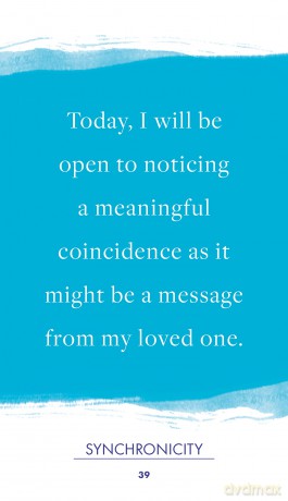 Guidance for Grief: A 52 Cards Deck with Guidebook - Wisdom to Help You Stay Connected to Your Loved One After Loss - Julie Beischel PhD [KSIĄŻKA]