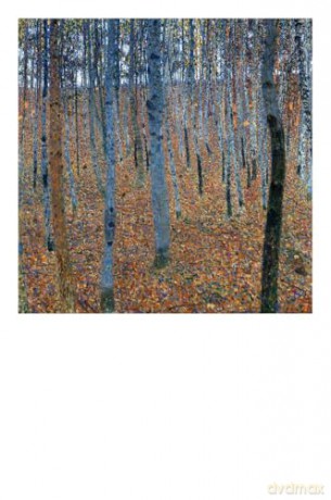 Gustav Klimt: 50 Masterpieces Explored (The Masters Art Decks) - Sally Grant [KSIĄŻKA]