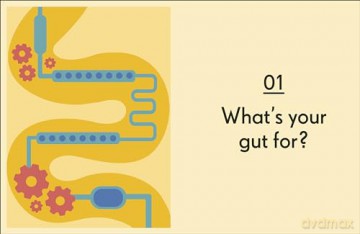 Gut: An Owner's Guide - Austin Chiang [KSIĄŻKA]