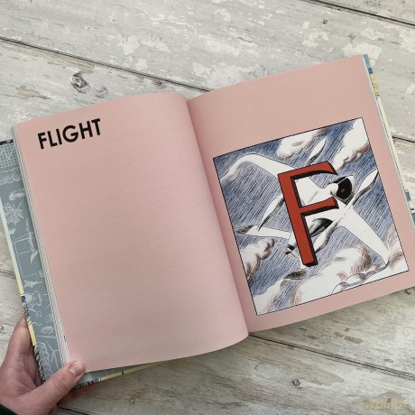 H is for Hope: Climate Change from A to Z - Elizabeth Kolbert [KSIĄŻKA]
