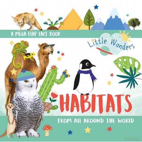 Habitats: From All Around the World (Little Wonders Mega Flap Fact Board Book) - Isabel Aniel [KSIĄŻKA]