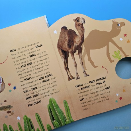Habitats: From All Around the World (Little Wonders Mega Flap Fact Board Book) - Isabel Aniel [KSIĄŻKA]