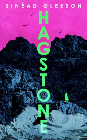 Hagstone: The instant Irish bestselling debut novel - 'I tore through it' David Nicholls - Sinead Gleeson [KSIĄŻKA]