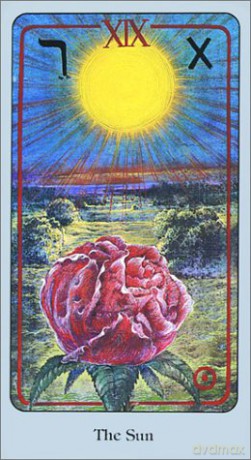 Haindl Tarot Deck - Hermann Haindl [KSIĄŻKA]