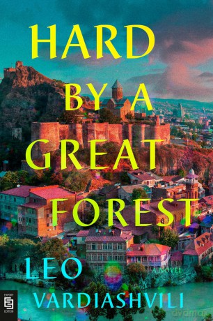 Hard by a Great Forest: A Novel - Leo Vardiashvili [KSIĄŻKA]