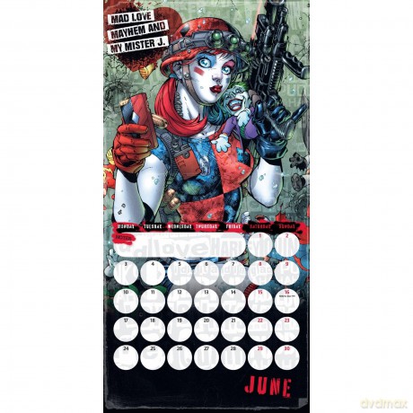 Harley Quinn 2024 Calendar, Month To View Square Wall Calendar, Official Product - Danilo Promotions Ltd [KALENDARZ]