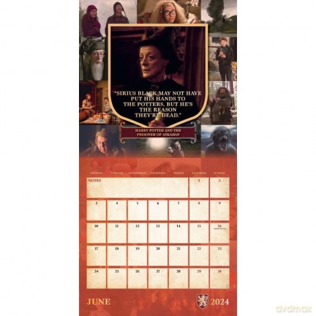 Harry Potter 2024 Calendar, Month To View Square Wall Calendar, Official Product - Danilo Promotions Ltd [KALENDARZ]