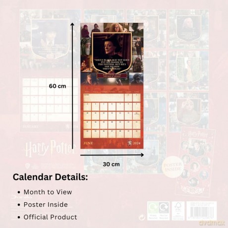 Harry Potter 2024 Calendar, Month To View Square Wall Calendar, Official Product - Danilo Promotions Ltd [KALENDARZ]