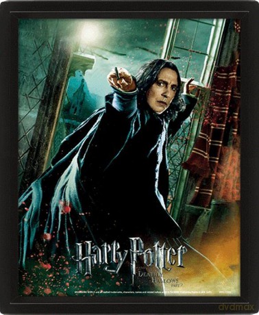 Harry Potter 3D Lenticular Poster of Deathly Hallows Snape 25cm x 20cm x 1.3cm in Box Frame - Official Merchandise [KSIĄŻKA]