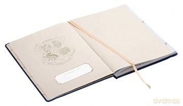 Harry Potter Academic Year 2022-2023 Planner (Academic Planner) - Insight Editions [KALENDARZ]