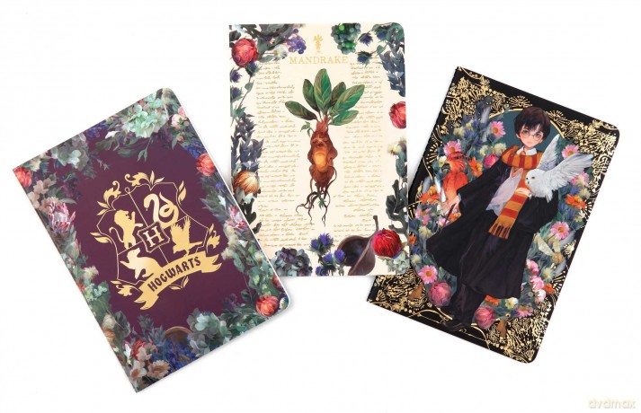 Harry Potter: Floral Fantasy Planner Notebook Collection (Set of 3): (Harry Potter School Planner School, Harry Potter Gift, Harry Potter Stationery, Undated Planner) - Insight Editions [KALENDARZ]