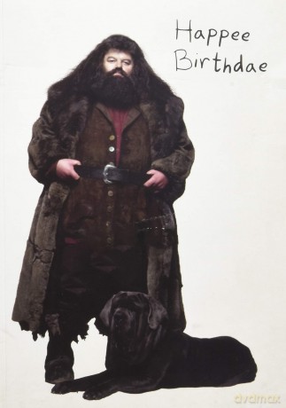 Harry Potter: Hagrid's Cake Pop-Up Card (Stationery) - Insight Editions [KSIĄŻKA]
