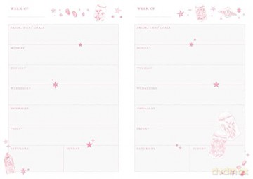 Harry Potter: Honeydukes Planner Notebook Collection (Set of 3): (Harry Potter School Planner School, Harry Potter Gift, Harry Potter Stationery, Undated Planner) - Insight Editions [KALENDARZ]
