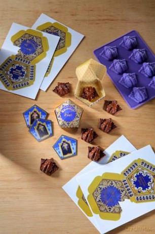 Harry Potter: Make Your Own Chocolate Frogs: Silicone Chocolate Mold and Gift Box Set - Insights [KSIĄŻKA]