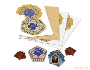 Harry Potter: Make Your Own Chocolate Frogs: Silicone Chocolate Mold and Gift Box Set - Insights [KSIĄŻKA]