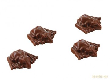 Harry Potter: Make Your Own Chocolate Frogs: Silicone Chocolate Mold and Gift Box Set - Insights [KSIĄŻKA]