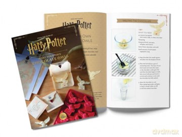 Harry Potter: Make Your Own Chocolate Owls - Insights [KSIĄŻKA]