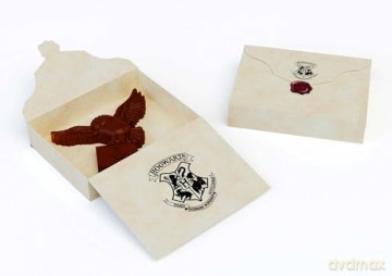 Harry Potter: Make Your Own Chocolate Owls - Insights [KSIĄŻKA]
