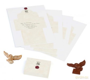 Harry Potter: Make Your Own Chocolate Owls - Insights [KSIĄŻKA]