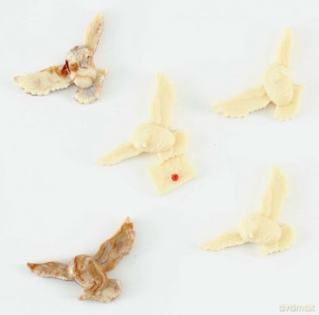 Harry Potter: Make Your Own Chocolate Owls - Insights [KSIĄŻKA]