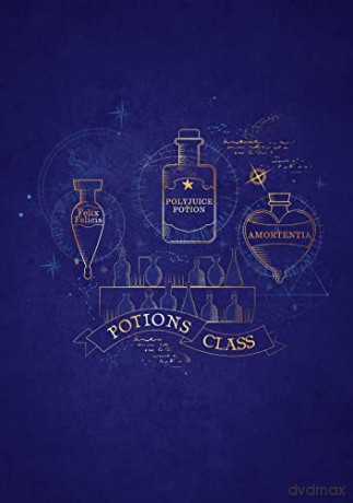 Harry Potter: Spells and Potions Planner Notebook Collection (Set of 3): (Harry Potter School Planner School, Harry Potter Gift, Harry Potter Stationery, Undated Planner) - Insight Editions [KALENDARZ]