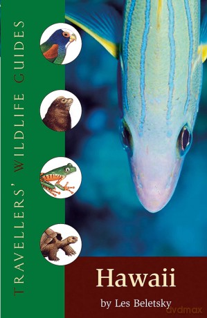 Hawaii: Interlink Traveller's Wildlife Guide - Les Beletsky [KSIĄŻKA]