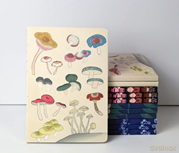 Healing Mushrooms Paperback Journal: Lined: Notebook with Pocket: Blank Notebook with Pocket - Tuttle Studio [KSIĄŻKA]