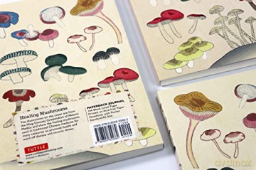 Healing Mushrooms Paperback Journal: Lined: Notebook with Pocket: Blank Notebook with Pocket - Tuttle Studio [KSIĄŻKA]