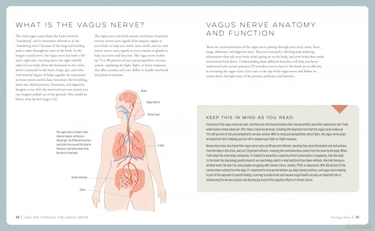 Healing Through the Vagus Nerve: Improve Your Body's Response to Anxiety, Depression, Stress, and Trauma Through Nervous System Regulation - Amanda Armstrong [KSIĄŻKA]