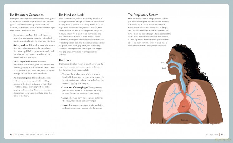 Healing Through the Vagus Nerve: Improve Your Body's Response to Anxiety, Depression, Stress, and Trauma Through Nervous System Regulation - Amanda Armstrong [KSIĄŻKA]