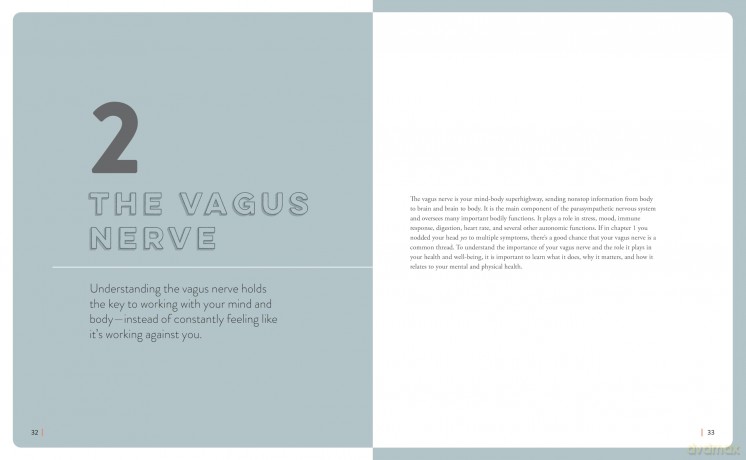 Healing Through the Vagus Nerve: Improve Your Body's Response to Anxiety, Depression, Stress, and Trauma Through Nervous System Regulation - Amanda Armstrong [KSIĄŻKA]