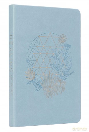 Healing: A Day and Night Reflection Journal (Inner World) - Insight Editions [KALENDARZ]