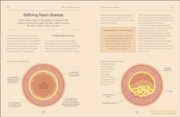 Heart: An Owner's Guide - Paddy Barrett [KSIĄŻKA]