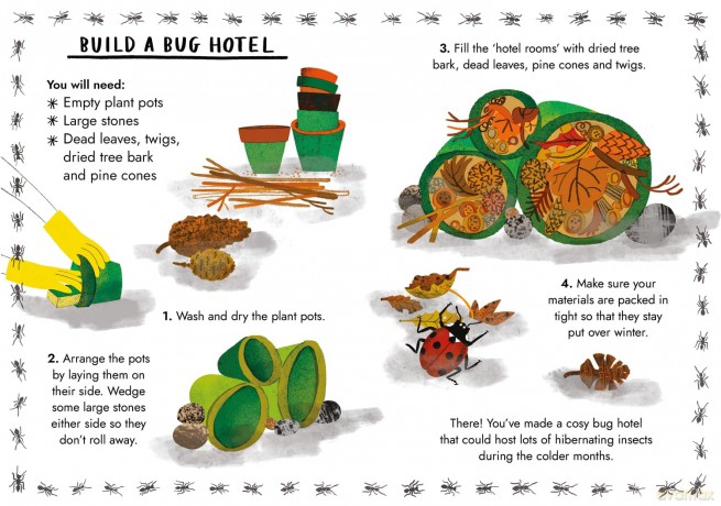 Hello Bugs: A Little Guide to Nature (Little Guides to Nature) - Nina Chakrabarti [KSIĄŻKA]