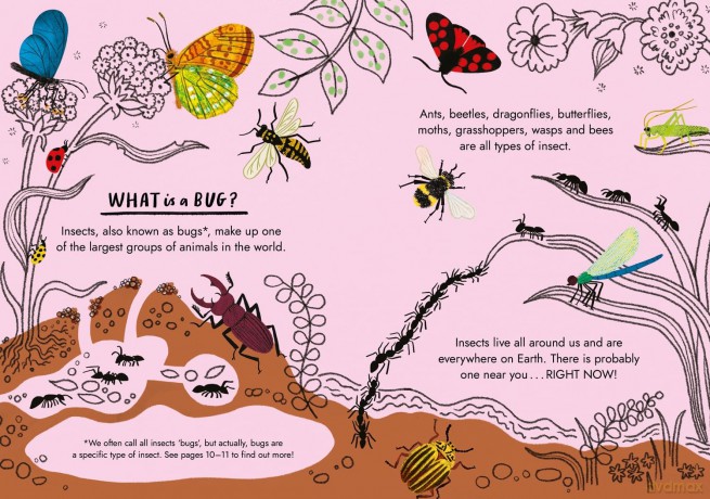 Hello Bugs: A Little Guide to Nature (Little Guides to Nature) - Nina Chakrabarti [KSIĄŻKA]
