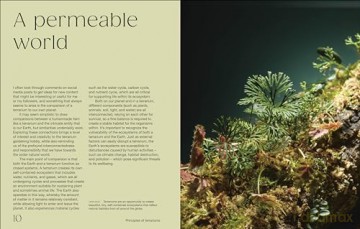 Hello Tiny World: An Enchanting Journey into the World of Creating Terrariums - Ben Newell [KSIĄŻKA]