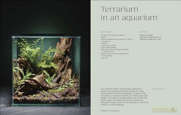 Hello Tiny World: An Enchanting Journey into the World of Creating Terrariums - Ben Newell [KSIĄŻKA]