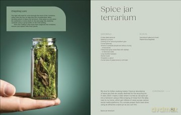 Hello Tiny World: An Enchanting Journey into the World of Creating Terrariums - Ben Newell [KSIĄŻKA]