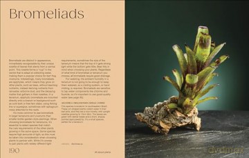 Hello Tiny World: An Enchanting Journey into the World of Creating Terrariums - Ben Newell [KSIĄŻKA]