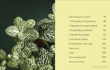 Hello Tiny World: An Enchanting Journey into the World of Creating Terrariums - Ben Newell [KSIĄŻKA]