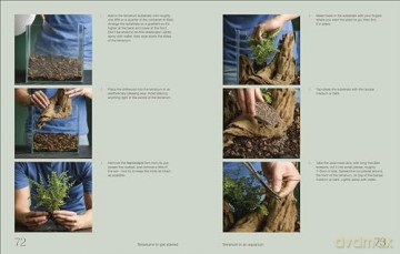 Hello Tiny World: An Enchanting Journey into the World of Creating Terrariums - Ben Newell [KSIĄŻKA]