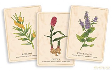 Herbal Tea Magic For The Modern Witch Oracle Deck, The: A 40-Card Deck and Guidebook for Creating Tea Readings, Herbal Spells, and Magical Rituals (Tarot/Oracle Decks) - Wild [KSIĄŻKA]