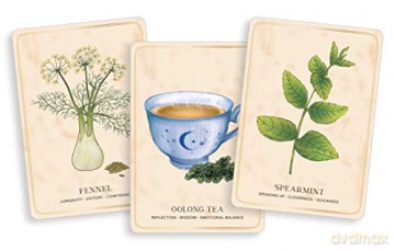 Herbal Tea Magic For The Modern Witch Oracle Deck, The: A 40-Card Deck and Guidebook for Creating Tea Readings, Herbal Spells, and Magical Rituals (Tarot/Oracle Decks) - Wild [KSIĄŻKA]