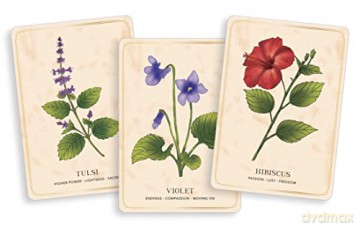 Herbal Tea Magic For The Modern Witch Oracle Deck, The: A 40-Card Deck and Guidebook for Creating Tea Readings, Herbal Spells, and Magical Rituals (Tarot/Oracle Decks) - Wild [KSIĄŻKA]