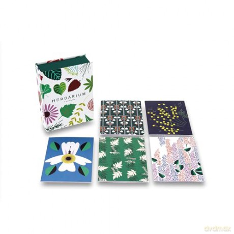 Herbarium: Notecards - Caz Hildebrand [KSIĄŻKA]